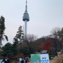 투케이코리아 | 올해 마지막 단풍 구경 ~ 남산 하늘숲길 가는 법과 산책 후기