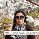 허브수삼성공인중개사사무소 이미지