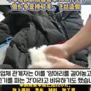 오리아동복 이미지