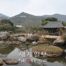 완도바다그대로 이미지