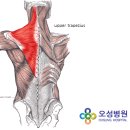 오성병원 이미지