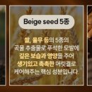 워터벨리 이미지