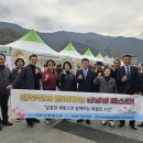 단양갱
