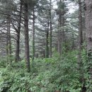 광덕3로4 이미지