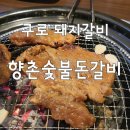 향촌 숯불 돈갈비 이미지