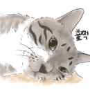 두 Y자(주말) 이미지