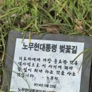 간선-79 | 수도권 벚꽃축제 TOP3 서울 근교 벚꽃 명소 데이트 코스 사람없고 주차편한여행지 추천