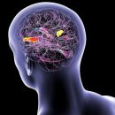 gc-camera-053 이미지