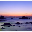 상록수 Daum카페