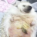 케나인동물병원 이미지