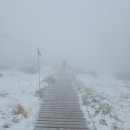 서호동-41 | [제주도] 한라산 윗세오름 어리목코스 &amp; 남벽 등산! (+ 겨울 등산 복장 추천 / 남벽 꼭 가세요!)