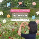 장성-25 | 2026 장성 뮤직페스티벌 미리 다녀온 후기