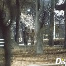 (주)카이 이미지