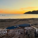 D-Line motors 이미지