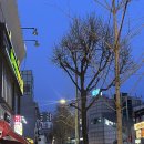 회기이자카야 “오사카 고양이” 후기