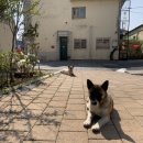 예깊미술관 이미지