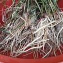 우슬농장 이미지