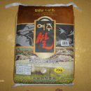 여주-0481 Daum카페