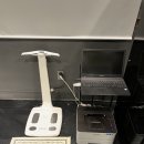 페르소나 피티 이미지