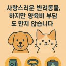 반려인이라면 필독! 반려동물 양육비 절약 꿀팁