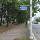 231 연합뉴스