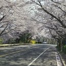 대송 재가복지센터 이미지