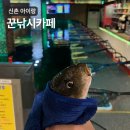 꾼 | 신촌놀거리 꾼낚시카페 왕초보 실내낚시터 후기 아이랑 이색데이트