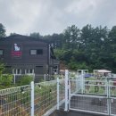 퍼피인더바스 네이버블로그