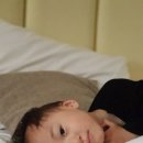 대월목장 이미지