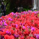 공지천 산책로 이미지