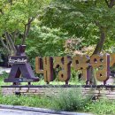 내장산국립공원 내장야영장 티스토리
