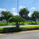 마디튼튼연합의원 이미지