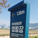 대저생태공원 캠핑장 이미지