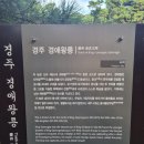 시조마을 | 경주여행 포석정에서 살해당한 비운의 왕 신라 경애왕릉과 배동 삼릉과 삼릉솔숲 방문후기