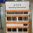 대마도 쓰시마링크 수속시간 수화물 면세점 배멀미 탑승 후기