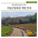 자일 이미지