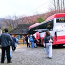 솔숲펜션 이미지