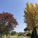 영재 par3 골프랜드 이미지