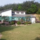 천사유치원 승합차 이미지