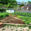 박상복 농장 이미지