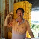 장택농장 이미지