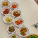 아라도야지 이미지