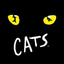 도츠뮤직 | 죽기 전에 꼭 봐야 할 세계 5대 뮤지컬 중에 하나인 캣츠(Cats) 30주년 기념 인천공연 늦은 후기