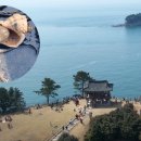 (주)동백관광 이미지