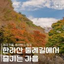 11월12일-18 제주의 가을 일주일 살기 ....산.바다.오름. 화산섬의 비밀을 품고.. 이미지