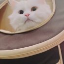 산본중앙동물병원