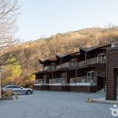 유명산258 이미지