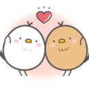 잇푸룻
