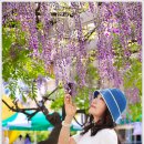 캠퍼스청바지 이미지