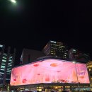 원리 농구장 이미지